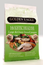 233636 Golden Eagle Large&Giant Puppy  /   12