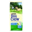 Dog Chow Puppy Large Breed      , 14 